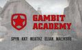 Gambit acquire academy team