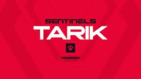 Tarik with sentinels