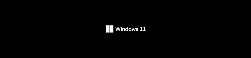 Windows 11 logo
