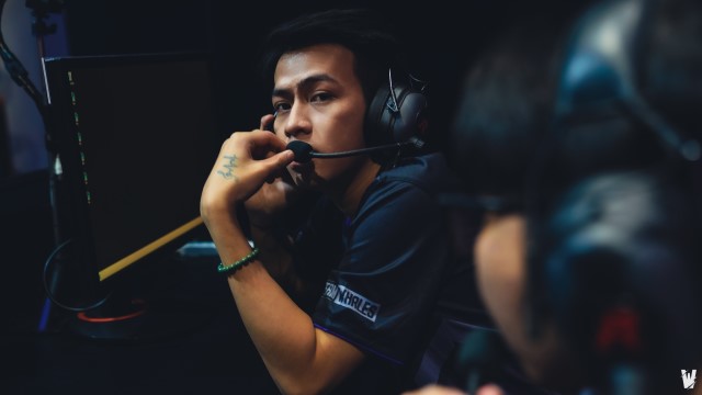 Đàn cá voi đang bứt phá tại mùa giải này