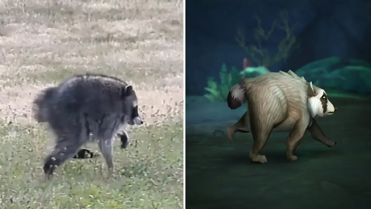 Jimothy in real life versus Jimothy in World of Warcraft.