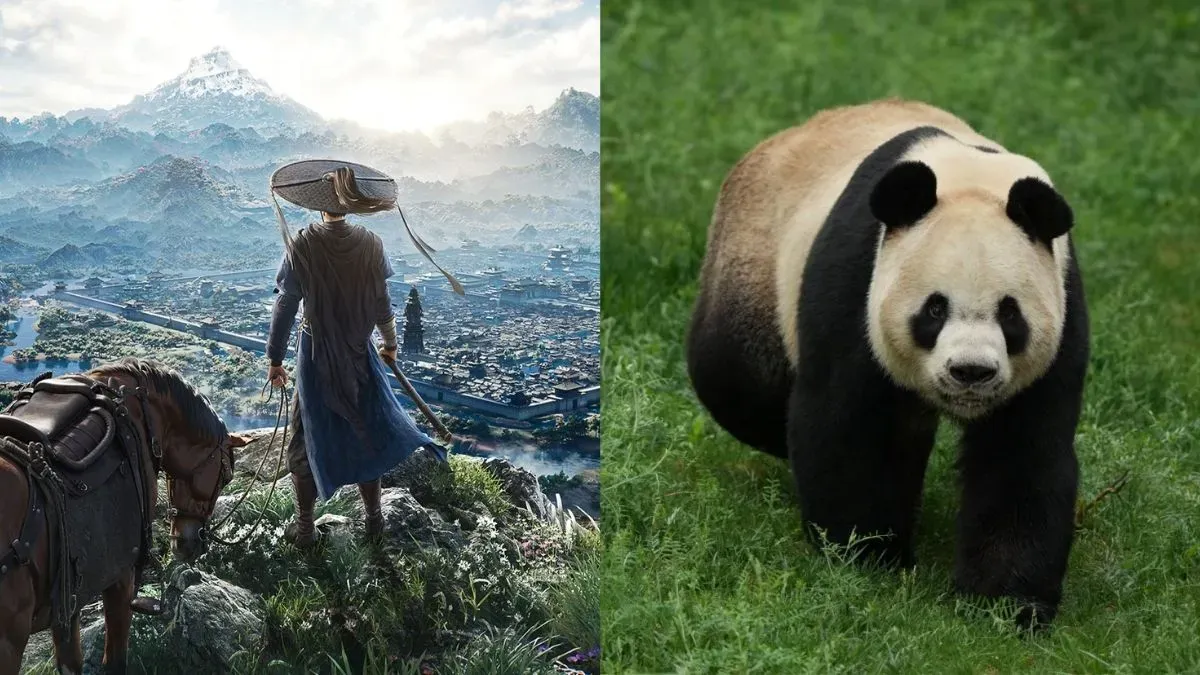 Image of Where Winds Meet Qinchuan teaser.