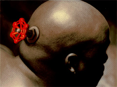 43d456d7bd4555bb26ae09a310d13173a0bacf38da0d4c08efd199c88f.jpg