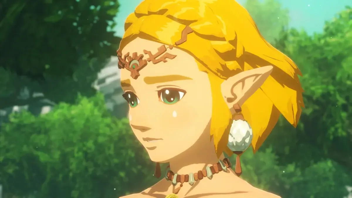 Zelda in the new Hyrule Warriors game.