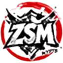 ZSM