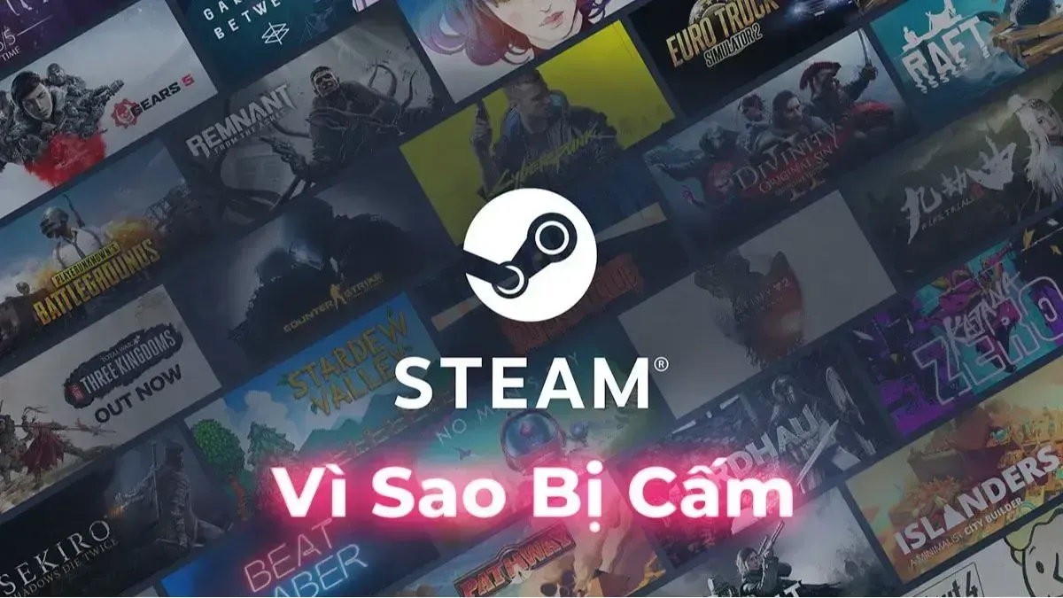 Lý do thực sự khiến cộng đồng chỉ trích VTC vì sự cố của Steam là gì?