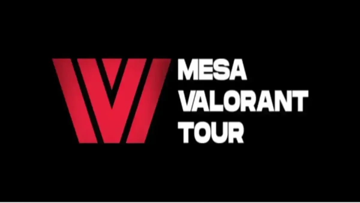 MVT 3: Stage 2