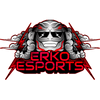 Ảnh đại diện cho ERKO Esports