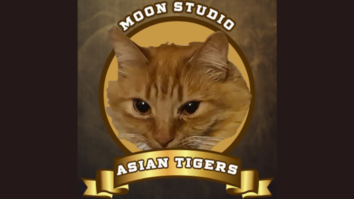 Moon Studio Asian Tigers