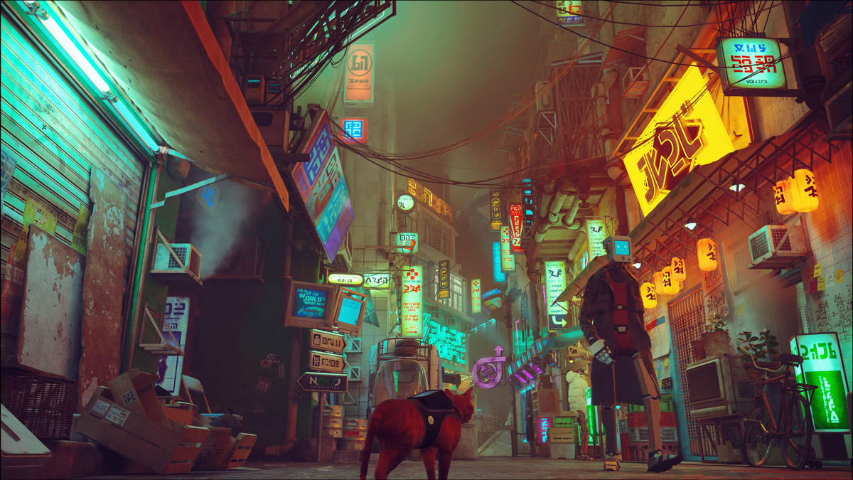 The New PlayStation 5 Game 'Stray' Lets You Be A Mystery Solving Cat In A  Neon-Lit Cyberpunk City