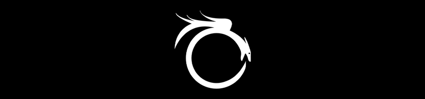 Inygon logo