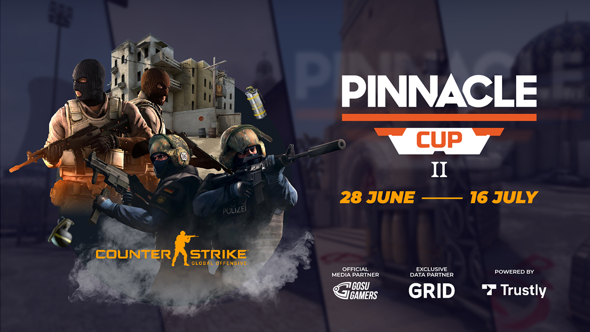 Pinnacle cup II header image