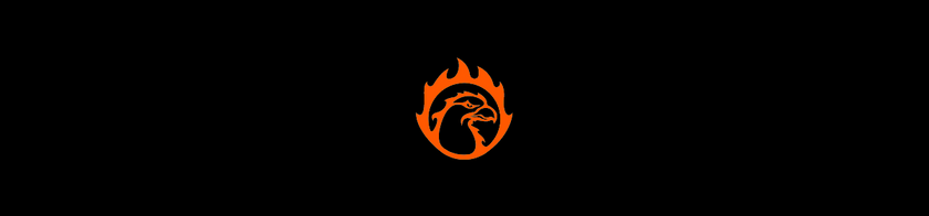 Odense Esport logo
