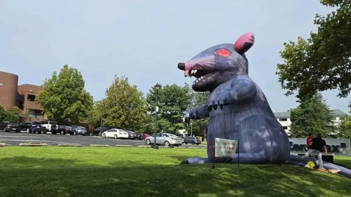 Bethesda developers greet Microsoft leadership with giant inflatable rat over Xbox layoffs