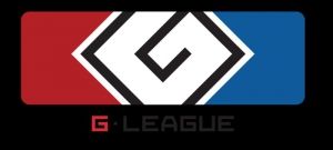 2014 G-League