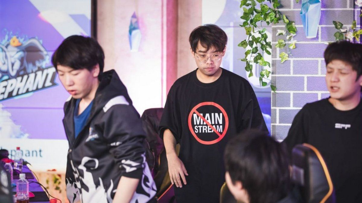 Maybe of Elephant wearing a black t-shit