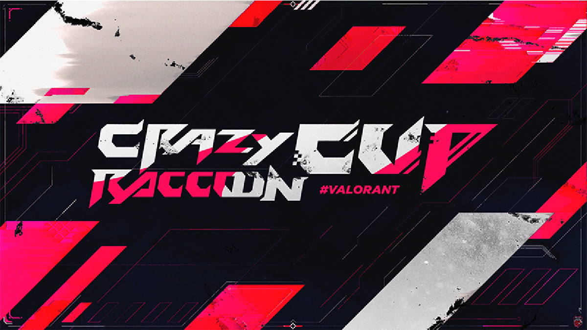 Crazy Raccoon Cup #5
