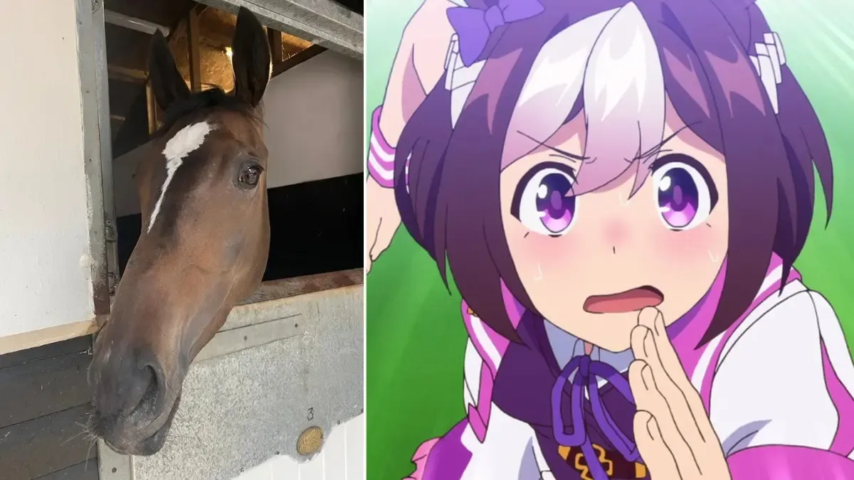 Jax Belle, the real racehourse and Special Week from Umamusume: Pretty Derby.