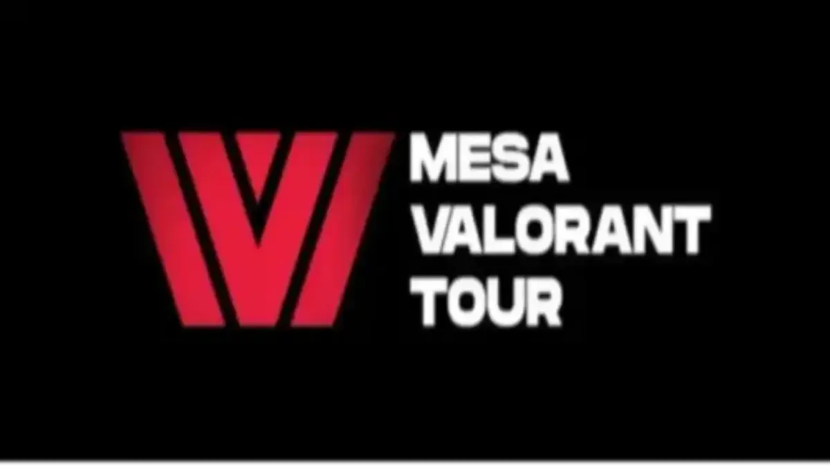 MVT 4: Stage 1