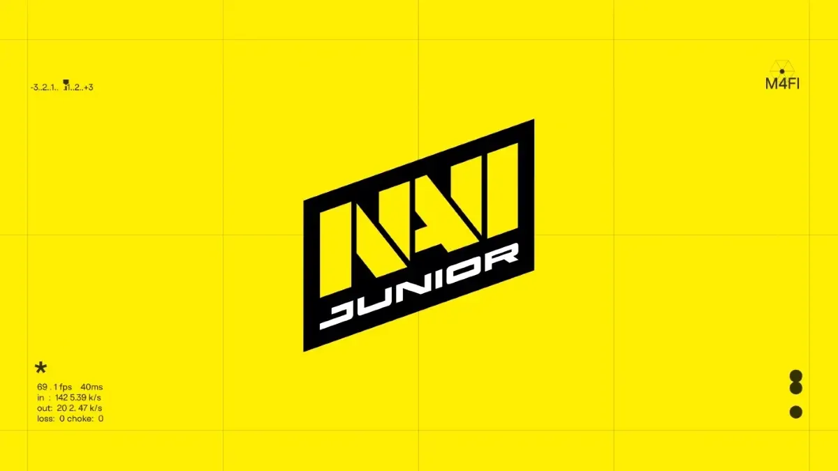 NAVI Junior disqualified from ESL One Raleigh due to bug abuse during qualifier run