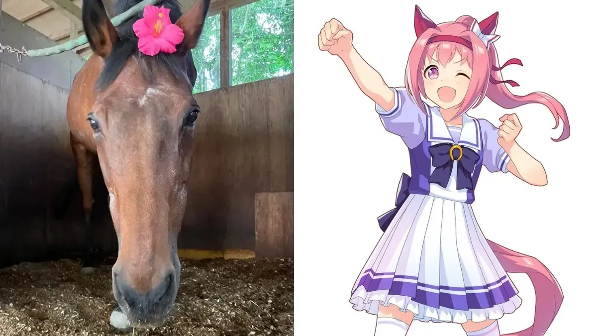 Umamusume fans crash donation website by sending over 2,500 kilograms of grass to Haru Urara
