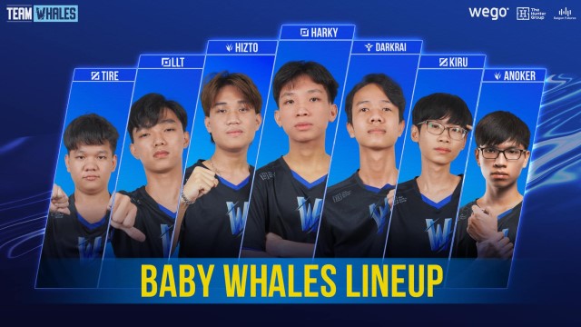 Baby Whale là một đội tiềm năng ở VCS